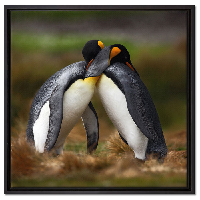 Pinguine in der Antarktis auf Leinwandbild Quadratisch gerahmt Größe 60x60