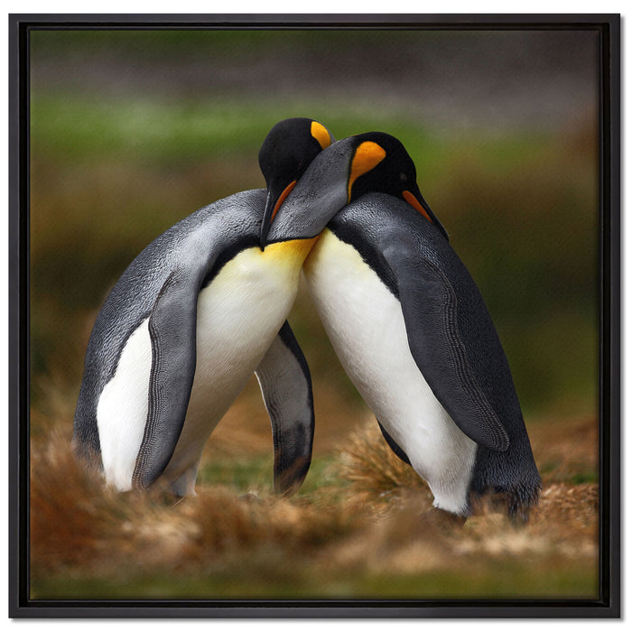 Pinguine in der Antarktis auf Leinwandbild Quadratisch gerahmt Größe 70x70