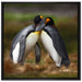 Pinguine in der Antarktis auf Leinwandbild Quadratisch gerahmt Größe 70x70