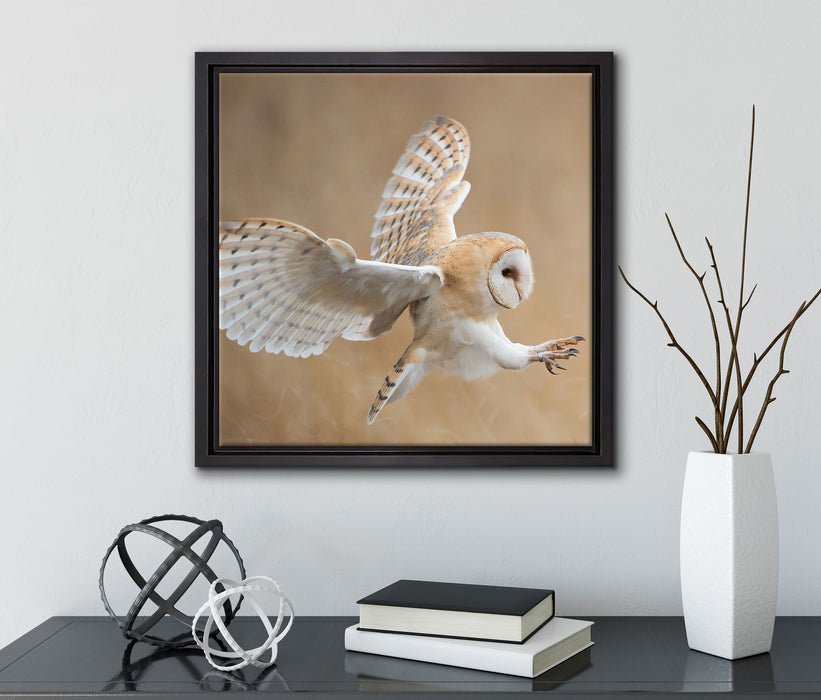 Fliegende Weiße Eule bei der Jagd  auf Leinwandbild Quadratisch gerahmt mit Kirschblüten