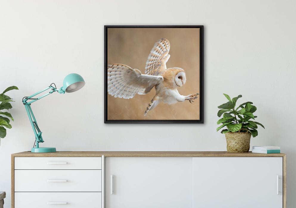 Fliegende Weiße Eule bei der Jagd auf Leinwandbild gerahmt Quadratisch verschiedene Größen im Wohnzimmer