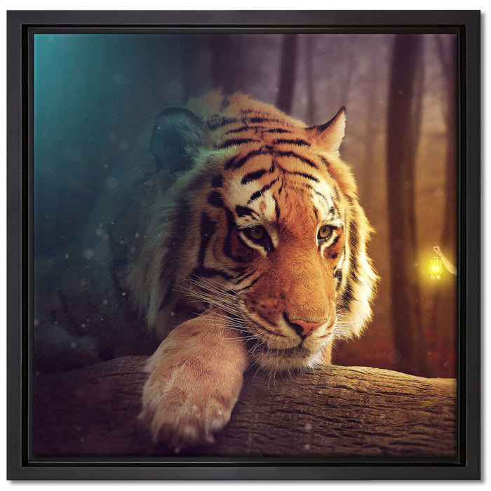 Eine Frau und ein Riesen-Tiger auf Leinwandbild Quadratisch gerahmt Größe 40x40