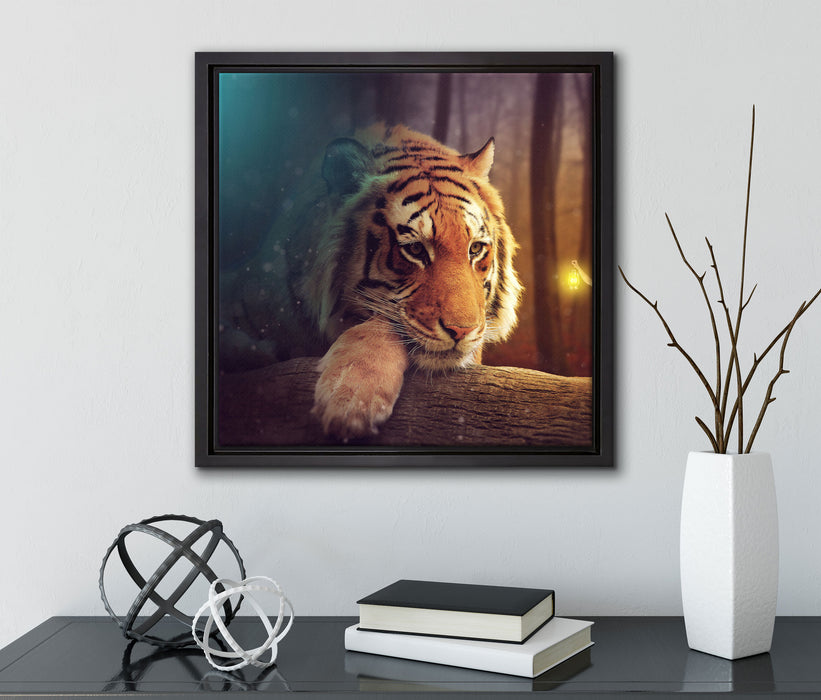 Eine Frau und ein Riesen-Tiger  auf Leinwandbild Quadratisch gerahmt mit Kirschblüten