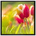 Blühende rote Tulpen auf Leinwandbild Quadratisch gerahmt Größe 70x70
