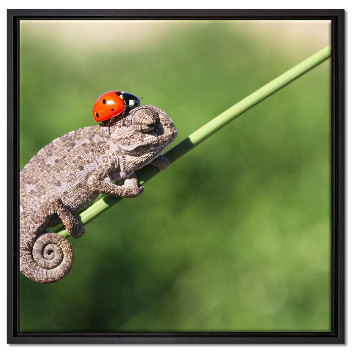Süßer Gecko mit einem Marienkäfer auf Leinwandbild Quadratisch gerahmt Größe 60x60