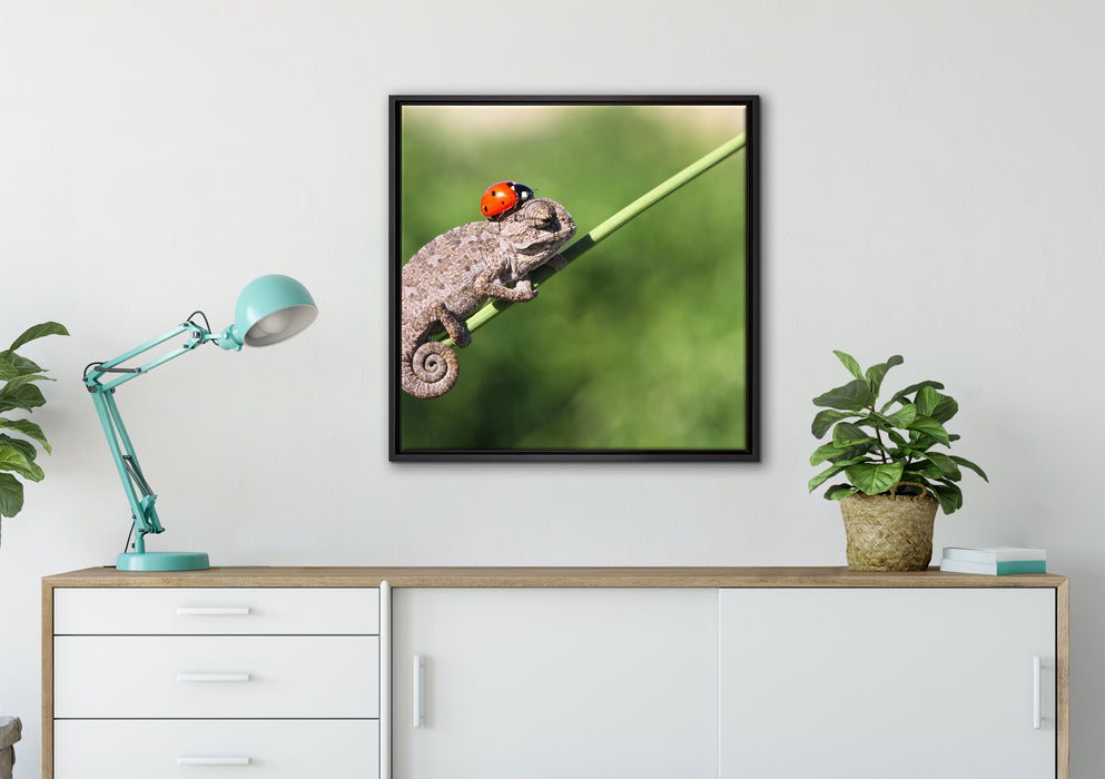 Süßer Gecko mit einem Marienkäfer auf Leinwandbild gerahmt Quadratisch verschiedene Größen im Wohnzimmer