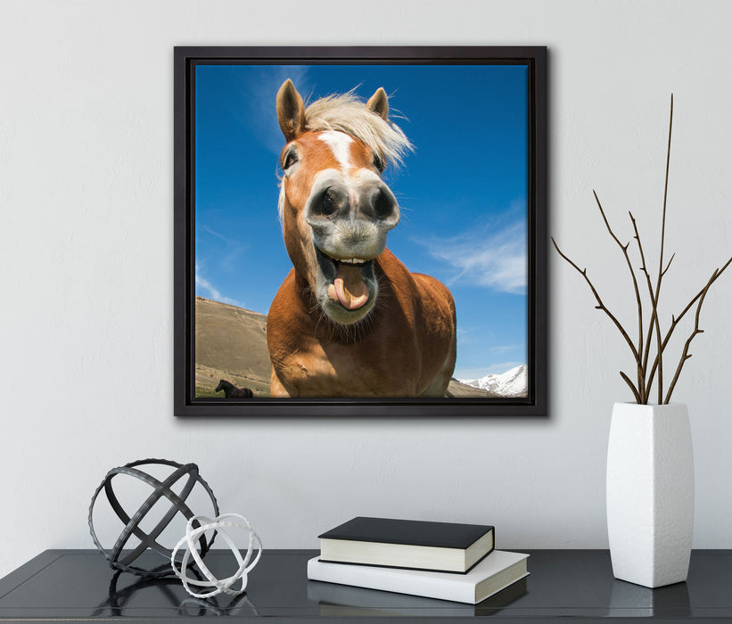 Lustiges Pferd in der Natur  auf Leinwandbild Quadratisch gerahmt mit Kirschblüten