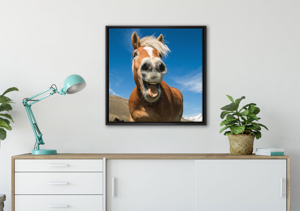 Lustiges Pferd in der Natur auf Leinwandbild gerahmt Quadratisch verschiedene Größen im Wohnzimmer