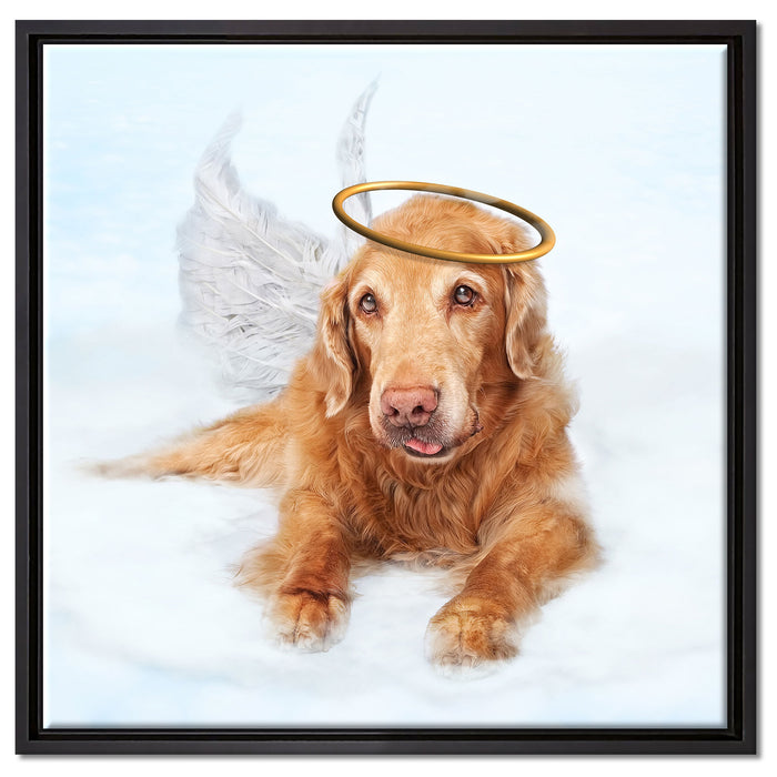 Hundeengel auf Wolke# auf Leinwandbild Quadratisch gerahmt Größe 60x60