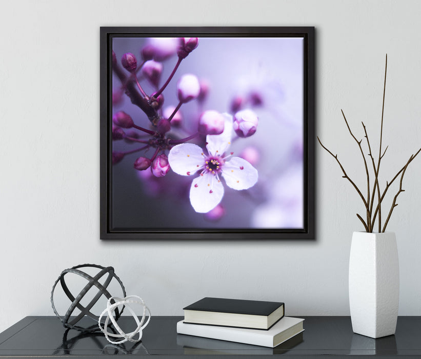 Blüten des Kirschbaumes  auf Leinwandbild Quadratisch gerahmt mit Kirschblüten