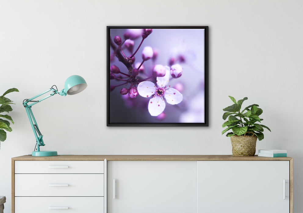 Blüten des Kirschbaumes auf Leinwandbild gerahmt Quadratisch verschiedene Größen im Wohnzimmer