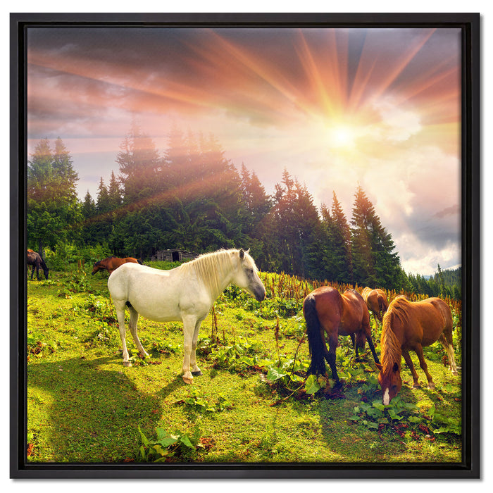 Mustangs Pferde auf den Bergen auf Leinwandbild Quadratisch gerahmt Größe 60x60