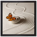 Zen Schmetterling auf Leinwandbild Quadratisch gerahmt Größe 40x40