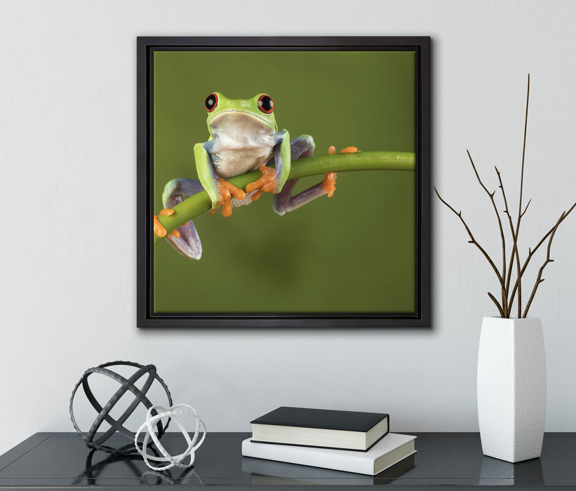 Baum-Frosch auf Bambus  auf Leinwandbild Quadratisch gerahmt mit Kirschblüten