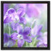 Lilane Lavendelblumen auf Leinwandbild Quadratisch gerahmt Größe 40x40