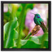 Kolibri in seinem Lebensraum auf Leinwandbild Quadratisch gerahmt Größe 40x40