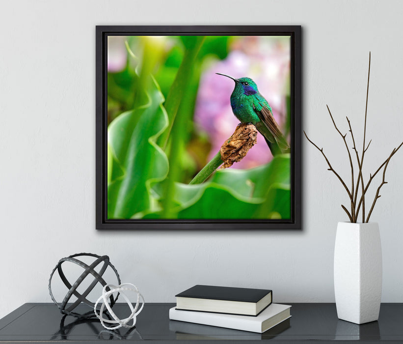 Kolibri in seinem Lebensraum  auf Leinwandbild Quadratisch gerahmt mit Kirschblüten
