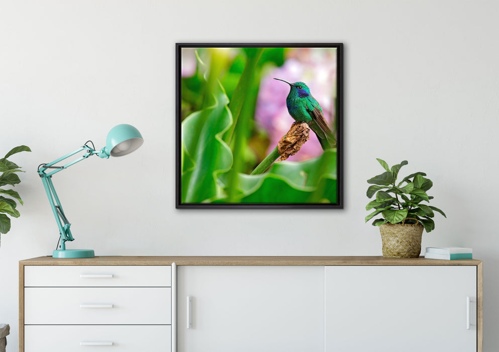 Kolibri in seinem Lebensraum auf Leinwandbild gerahmt Quadratisch verschiedene Größen im Wohnzimmer
