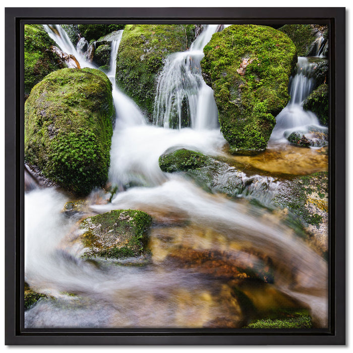 Gertelbach im Schwarzwald auf Leinwandbild Quadratisch gerahmt Größe 40x40