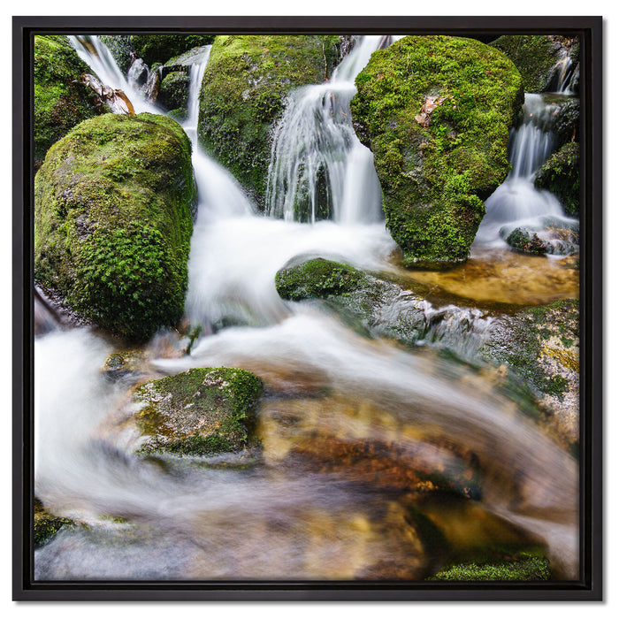 Gertelbach im Schwarzwald auf Leinwandbild Quadratisch gerahmt Größe 60x60