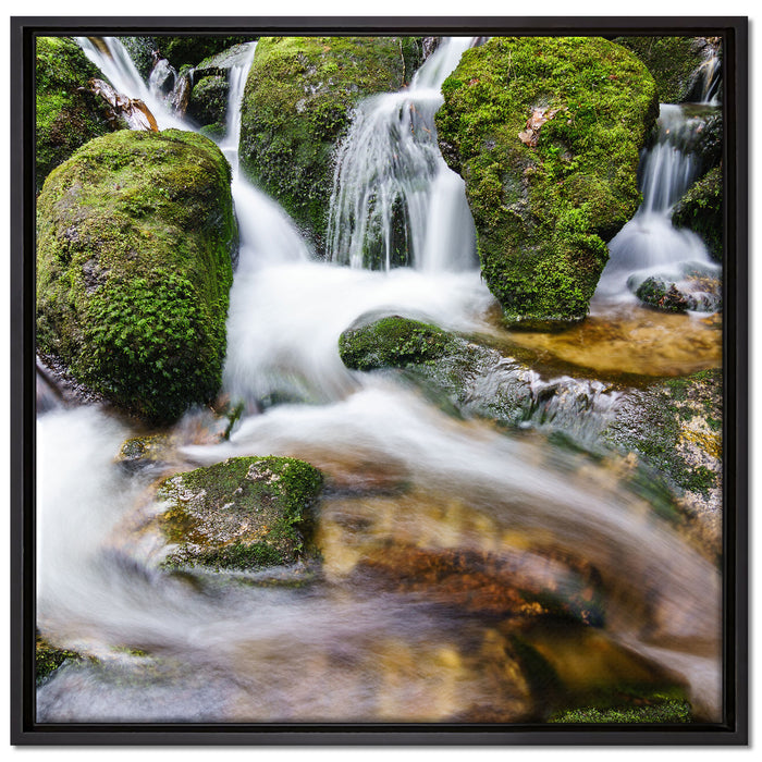 Gertelbach im Schwarzwald auf Leinwandbild Quadratisch gerahmt Größe 70x70