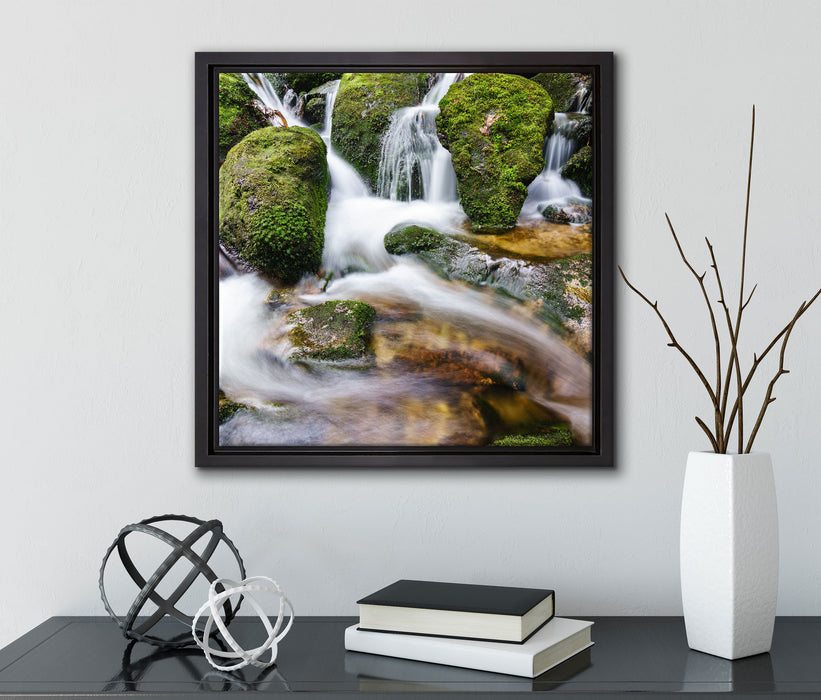 Gertelbach im Schwarzwald  auf Leinwandbild Quadratisch gerahmt mit Kirschblüten