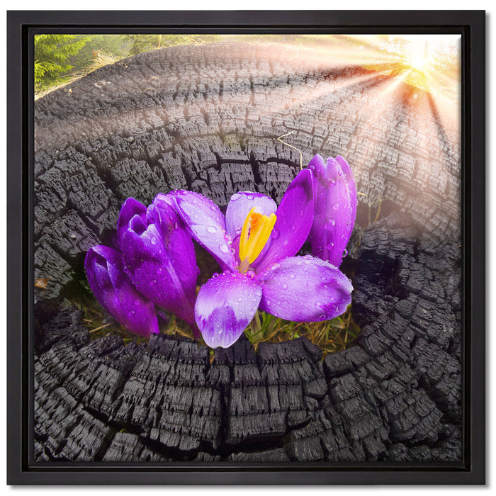 Die Kraft der Natur auf Leinwandbild Quadratisch gerahmt Größe 40x40