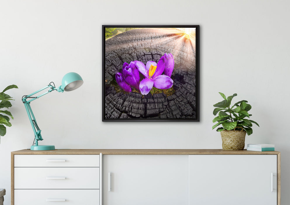 Die Kraft der Natur auf Leinwandbild gerahmt Quadratisch verschiedene Größen im Wohnzimmer