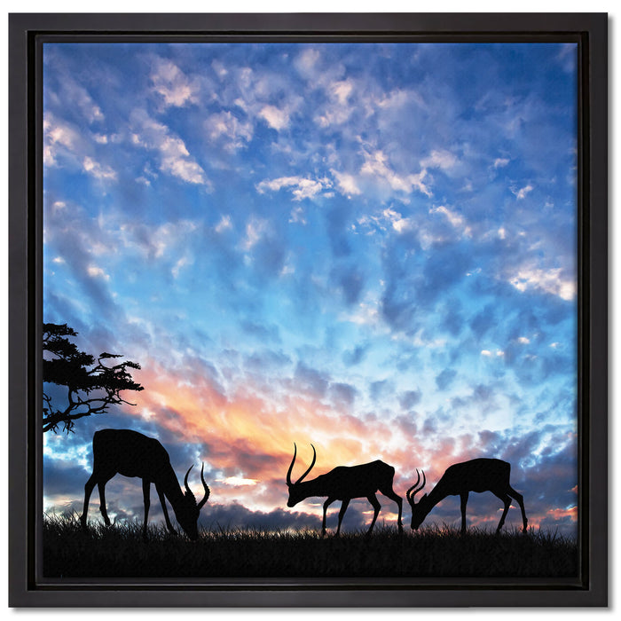 Tiere in der Natur am Abend auf Leinwandbild Quadratisch gerahmt Größe 40x40