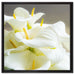 Wunderschöne weiße Calla Lilien auf Leinwandbild Quadratisch gerahmt Größe 60x60