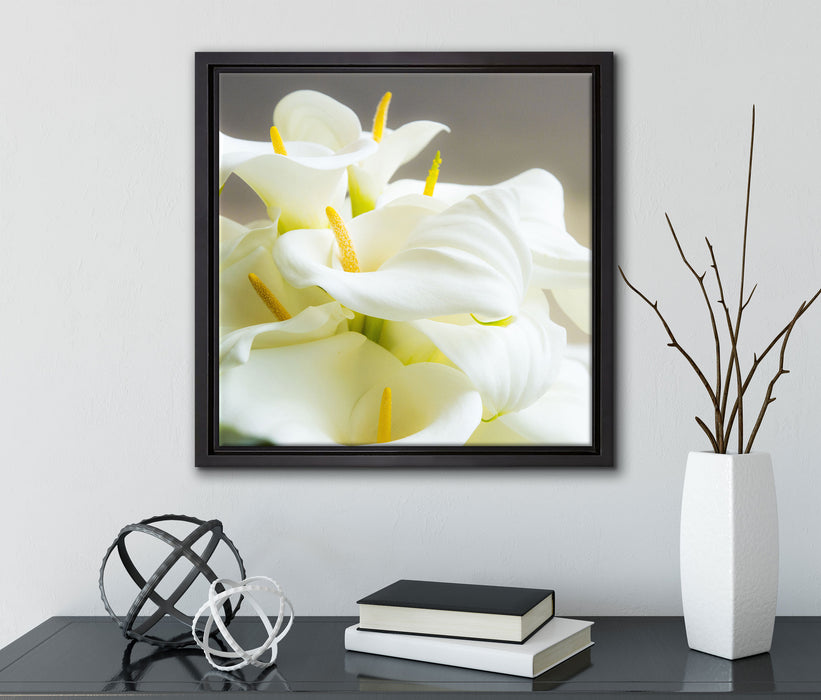 Wunderschöne weiße Calla Lilien  auf Leinwandbild Quadratisch gerahmt mit Kirschblüten