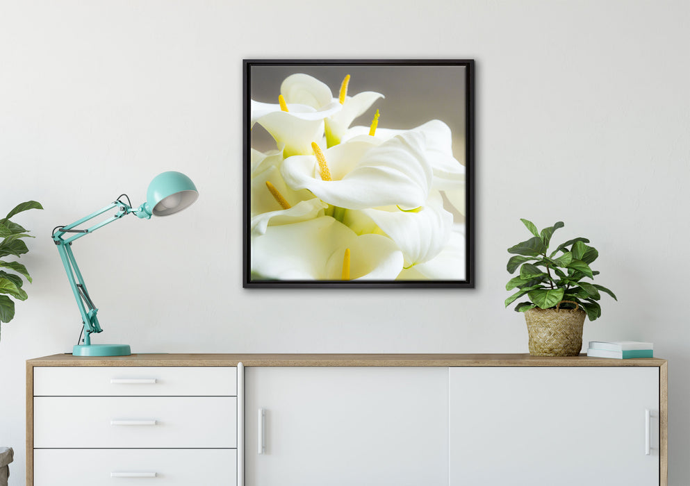 Wunderschöne weiße Calla Lilien auf Leinwandbild gerahmt Quadratisch verschiedene Größen im Wohnzimmer