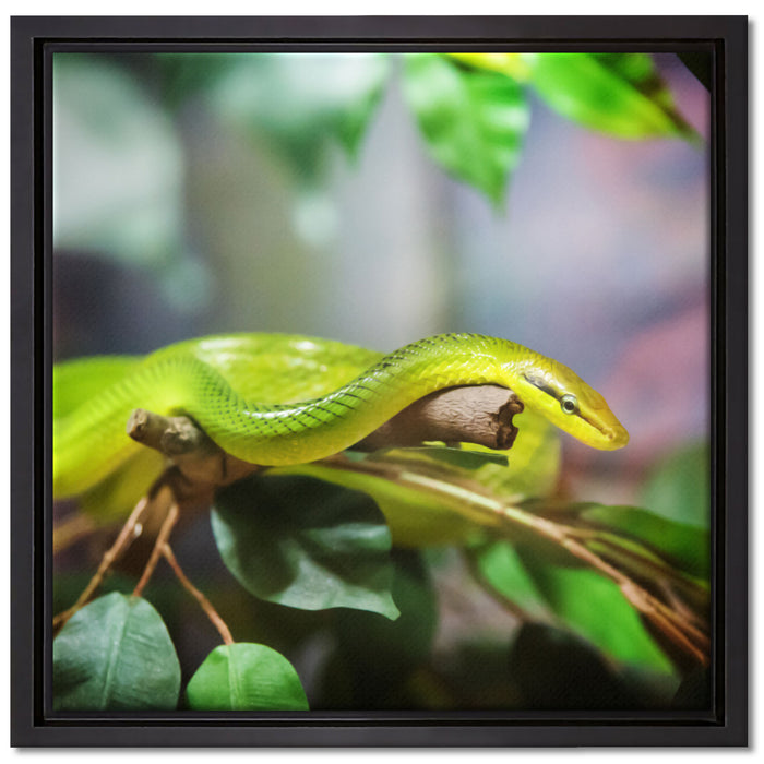 Raue grüne Schlange auf Leinwandbild Quadratisch gerahmt Größe 40x40