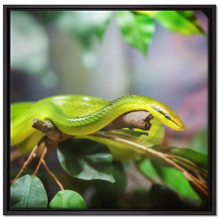 Raue grüne Schlange auf Leinwandbild Quadratisch gerahmt Größe 70x70