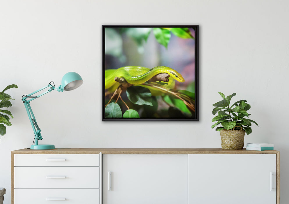 Raue grüne Schlange auf Leinwandbild gerahmt Quadratisch verschiedene Größen im Wohnzimmer
