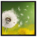 Löwenzahn Samen auf Leinwandbild Quadratisch gerahmt Größe 60x60
