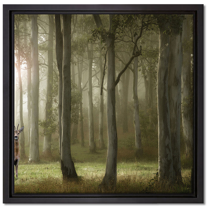 Hirsch im Wald auf Leinwandbild Quadratisch gerahmt Größe 40x40