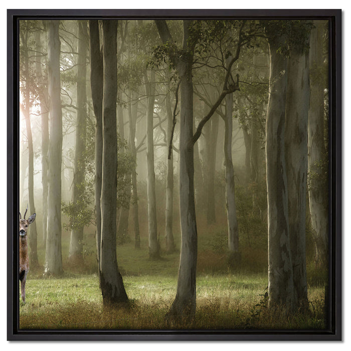 Hirsch im Wald auf Leinwandbild Quadratisch gerahmt Größe 60x60