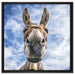 Lustiger Esel auf Leinwandbild Quadratisch gerahmt Größe 60x60