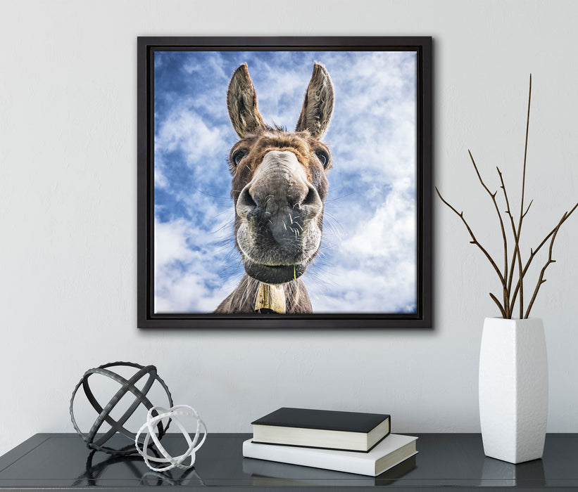 Lustiger Esel  auf Leinwandbild Quadratisch gerahmt mit Kirschblüten