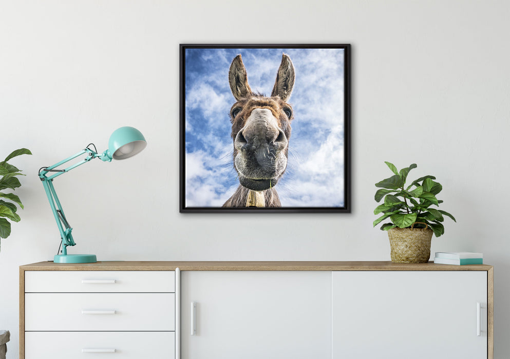 Lustiger Esel auf Leinwandbild gerahmt Quadratisch verschiedene Größen im Wohnzimmer
