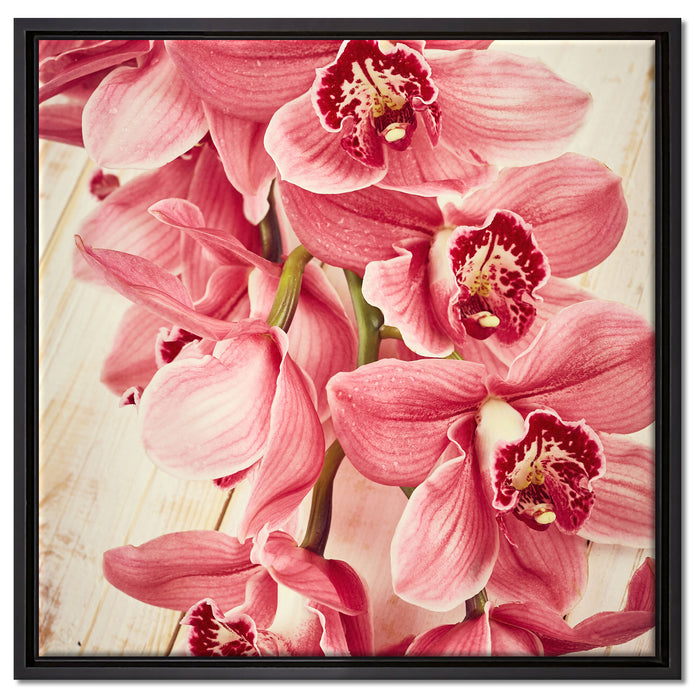 Rosane Orchideenblüten auf Leinwandbild Quadratisch gerahmt Größe 60x60