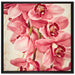 Rosane Orchideenblüten auf Leinwandbild Quadratisch gerahmt Größe 70x70