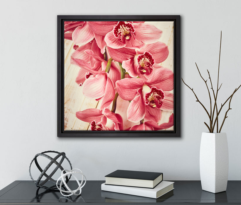Rosane Orchideenblüten  auf Leinwandbild Quadratisch gerahmt mit Kirschblüten
