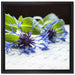 Notenblatt mit Kornblume auf Leinwandbild Quadratisch gerahmt Größe 40x40