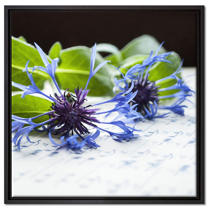 Notenblatt mit Kornblume auf Leinwandbild Quadratisch gerahmt Größe 60x60