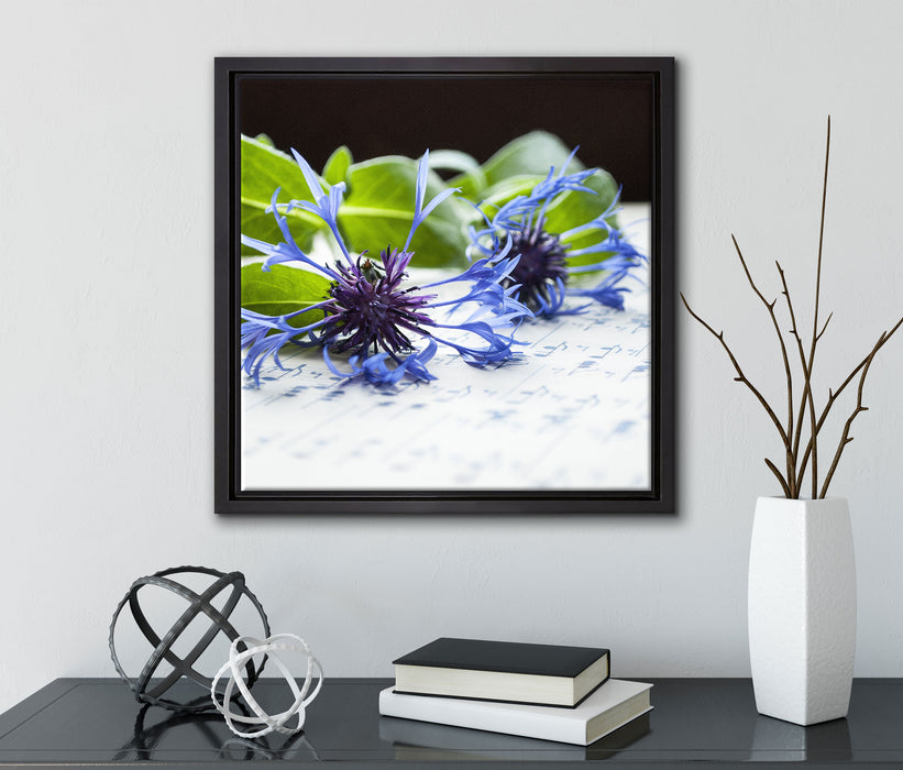 Notenblatt mit Kornblume  auf Leinwandbild Quadratisch gerahmt mit Kirschblüten
