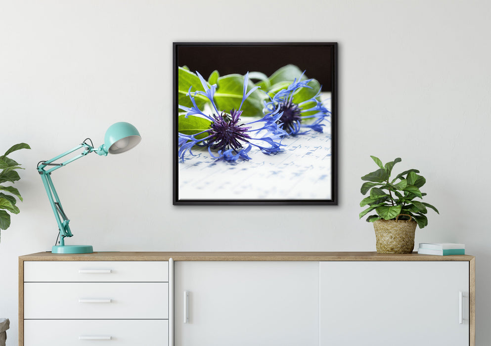 Notenblatt mit Kornblume auf Leinwandbild gerahmt Quadratisch verschiedene Größen im Wohnzimmer