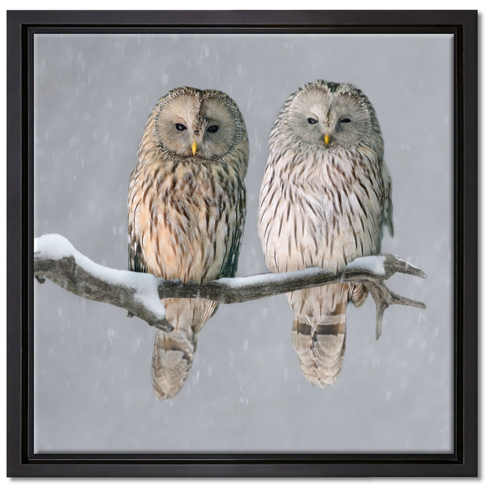 Zwei Eulen in Winterlandschaft auf Leinwandbild Quadratisch gerahmt Größe 40x40