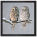 Zwei Eulen in Winterlandschaft auf Leinwandbild Quadratisch gerahmt Größe 40x40